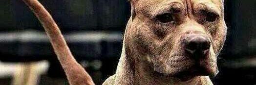 Zzzy_Finest's profile banner image