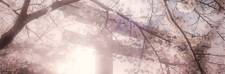 fiogyu's profile banner image