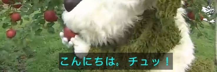 wancun_'s profile banner image
