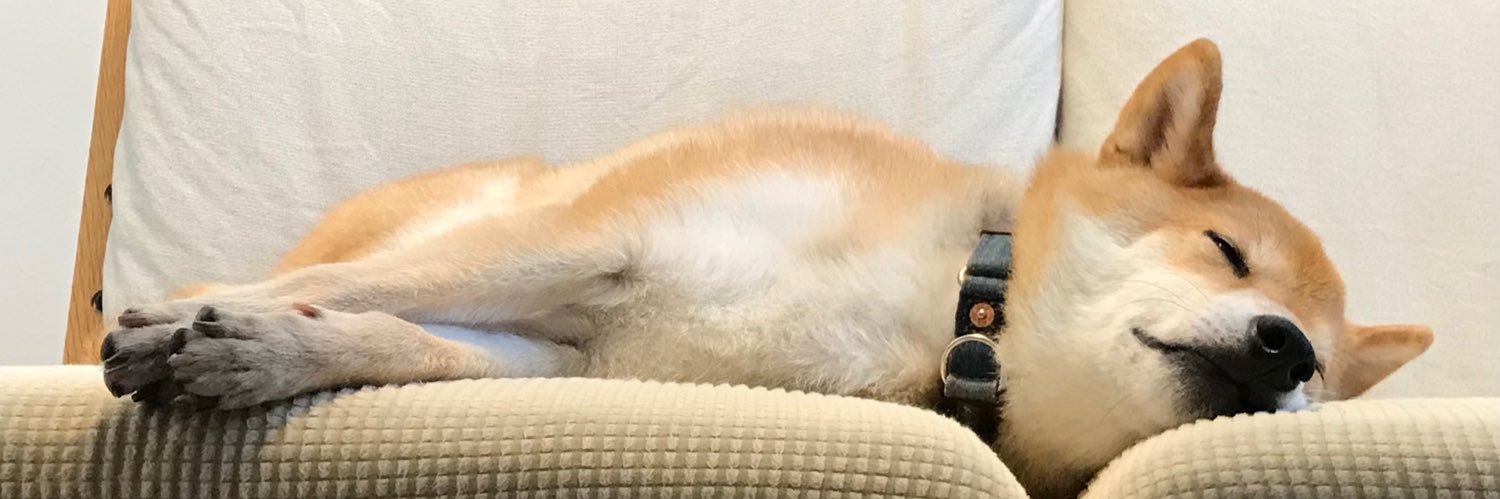 _osechi's profile banner image