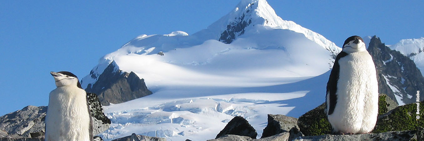 KlimaoG's profile banner image
