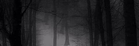 Life_Runner__'s profile banner image
