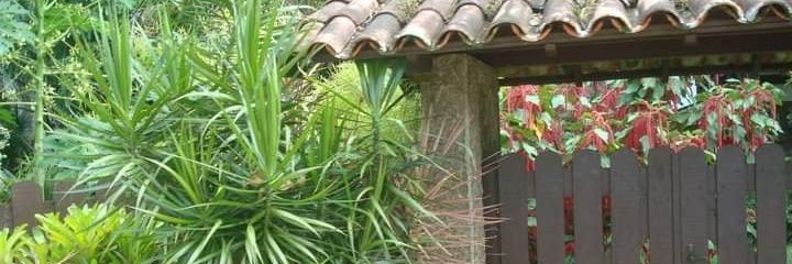MarcosCiccone's profile banner image