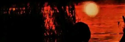 Mazula Longwe's banner