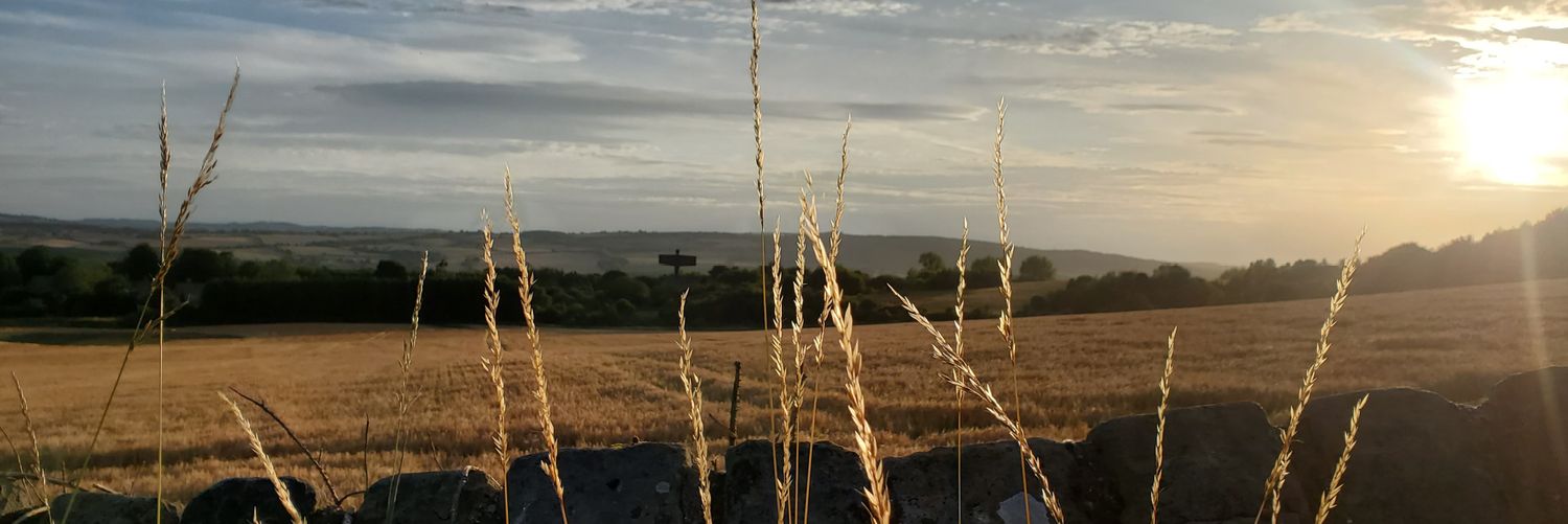 Justin Andrushko banner