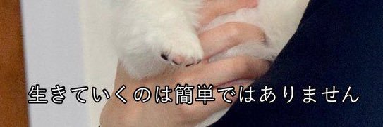 ﾄｳﾃﾑ banner