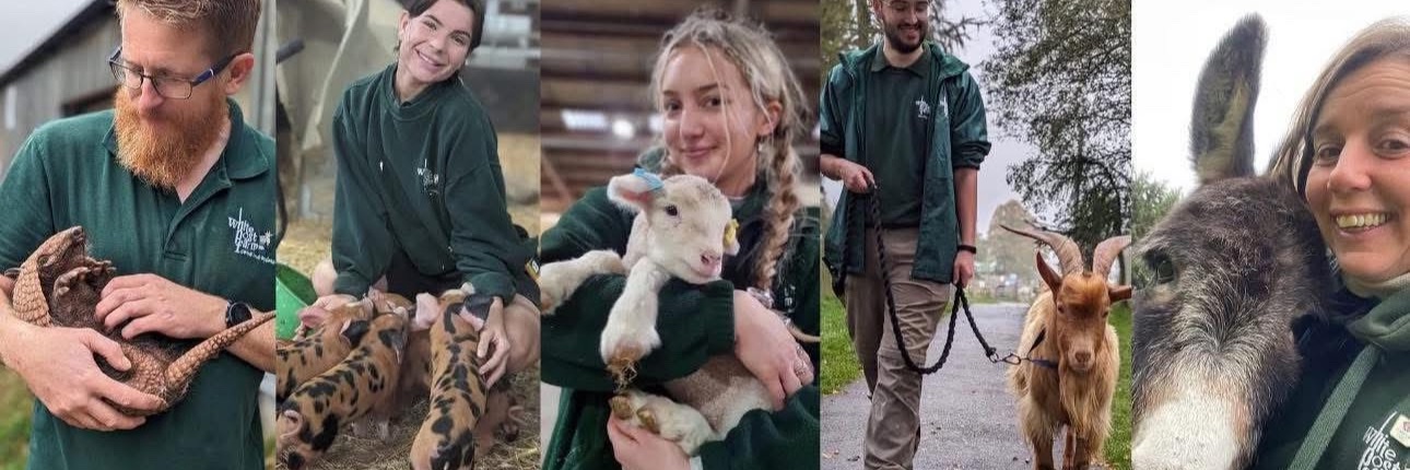 White Post Farm banner