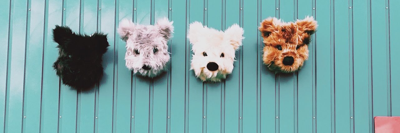 mishca official banner