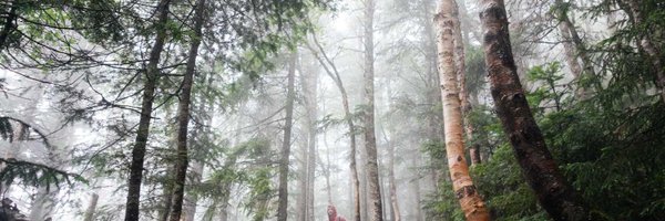 detours Profile Banner