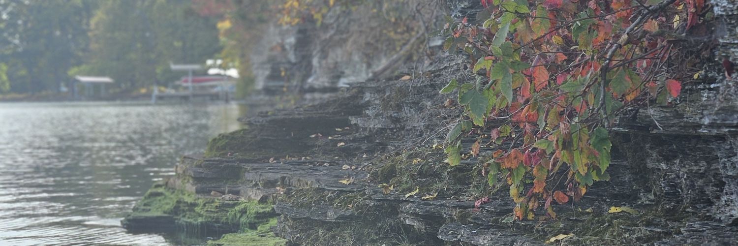 stonedriveway39's profile banner image
