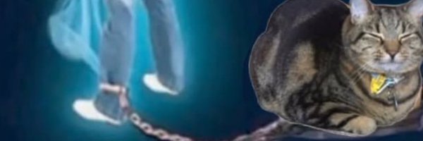 jeewbuzz Profile Banner