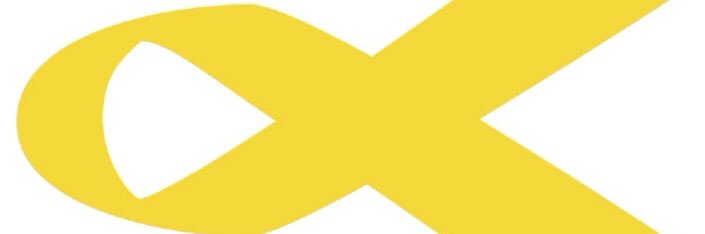 katapla18's profile banner image