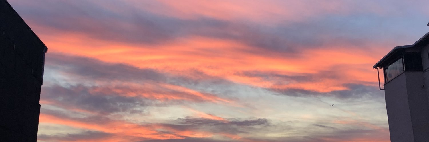eebrusenn1's profile banner image