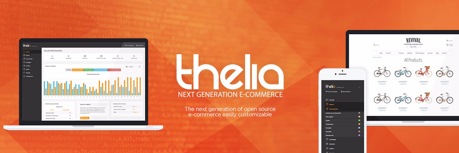 theliaecommerce's profile banner image