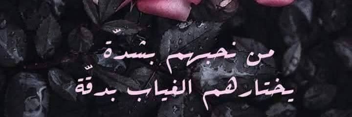 صفا مرسى banner