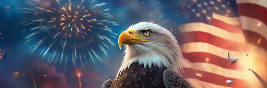 EMGxUSERx's profile banner image