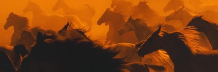 four banner