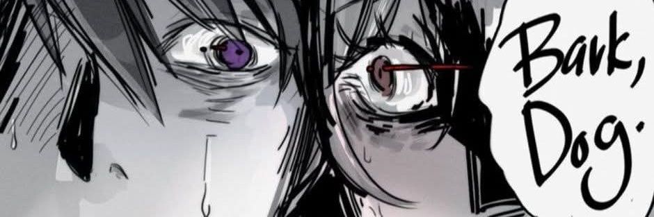 Fox Boi banner