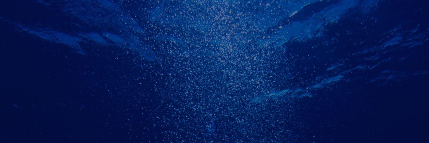 Nemo_Network's profile banner image