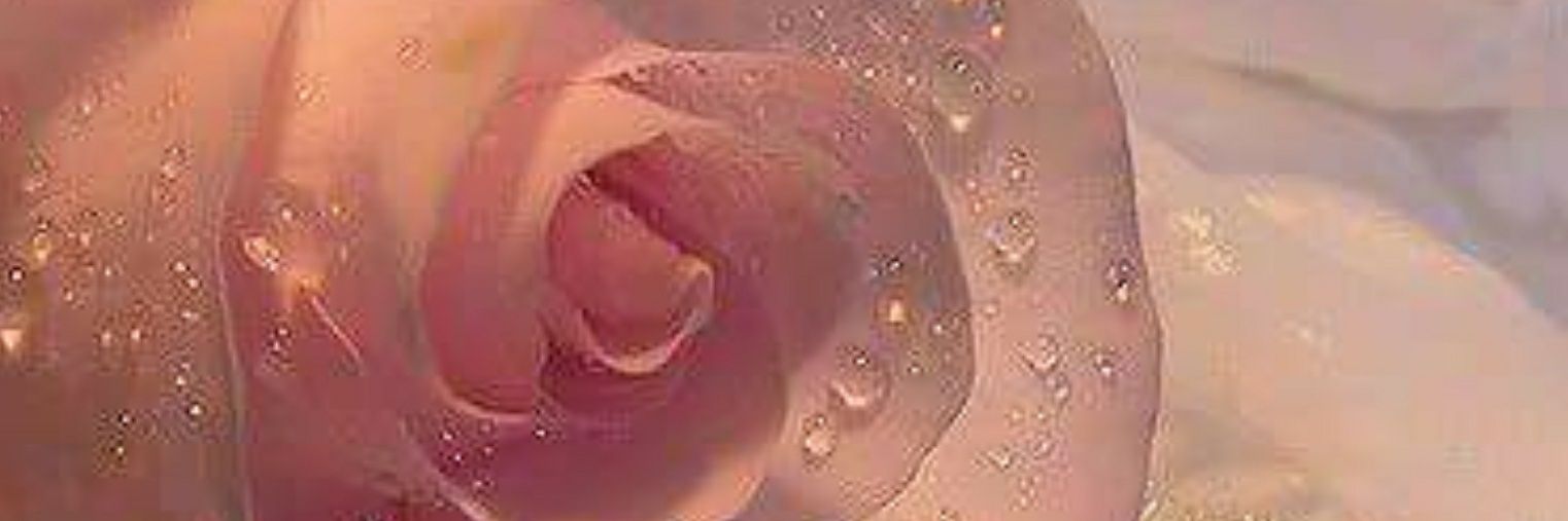 amaranttta's profile banner image