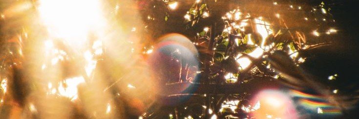 lovinglehan's profile banner image