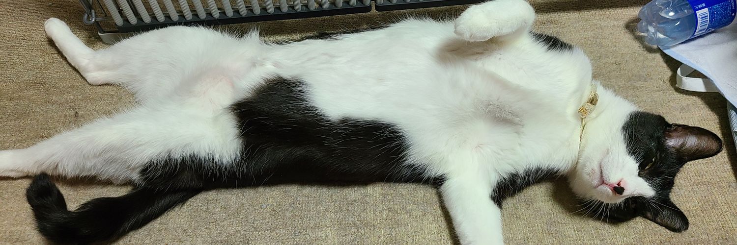 seenacat's profile banner image