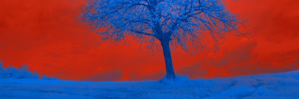StarvingSavior Profile Banner