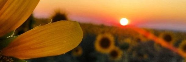 _yafac's profile banner image