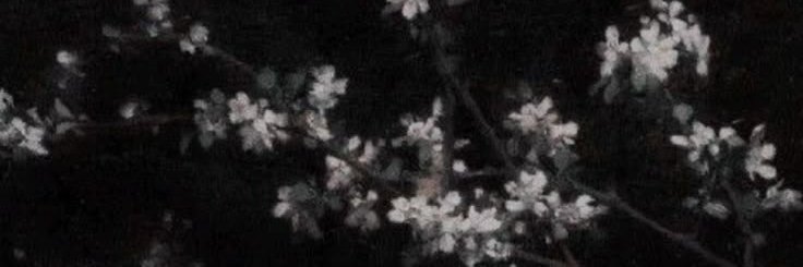 W_isaa_'s profile banner image