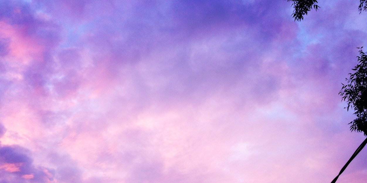 elizabetha_'s profile banner image