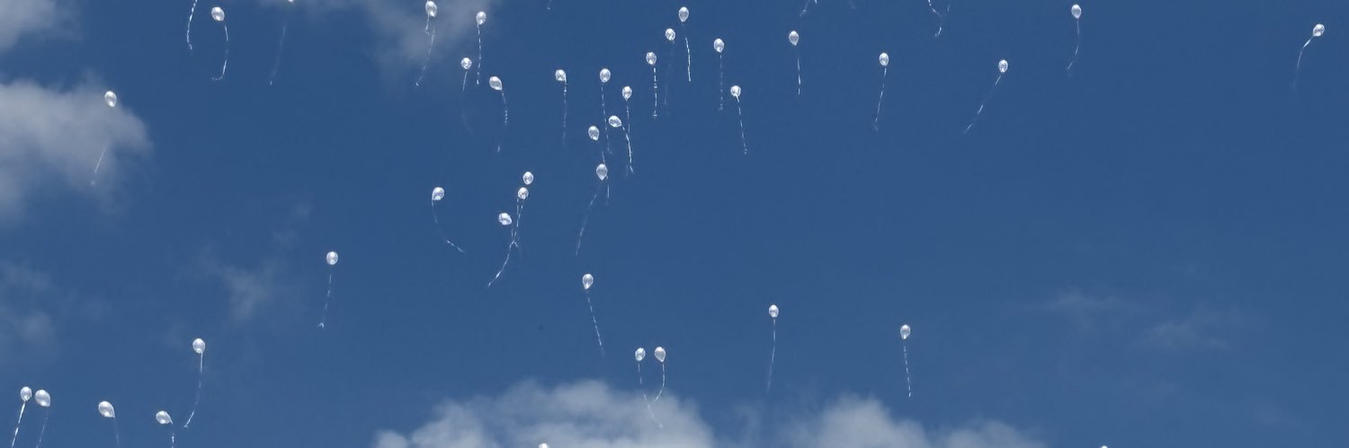 Gigi Faures Fustel De Coulanges banner