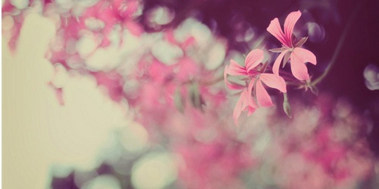 r_a_ryan's profile banner image