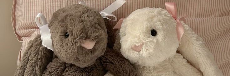 snowkittybunny's profile banner image