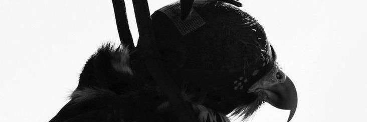 Borauc's profile banner image