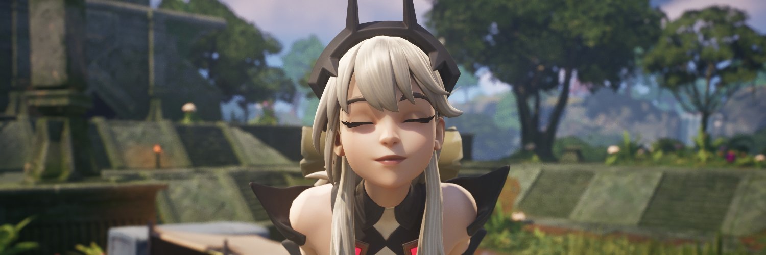 Sends4Fortnite's profile banner image