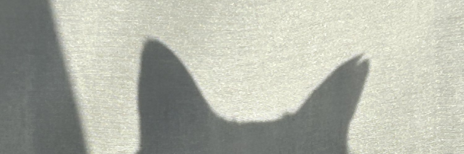 ささめ banner