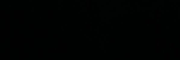 vitoria33136 Profile Banner