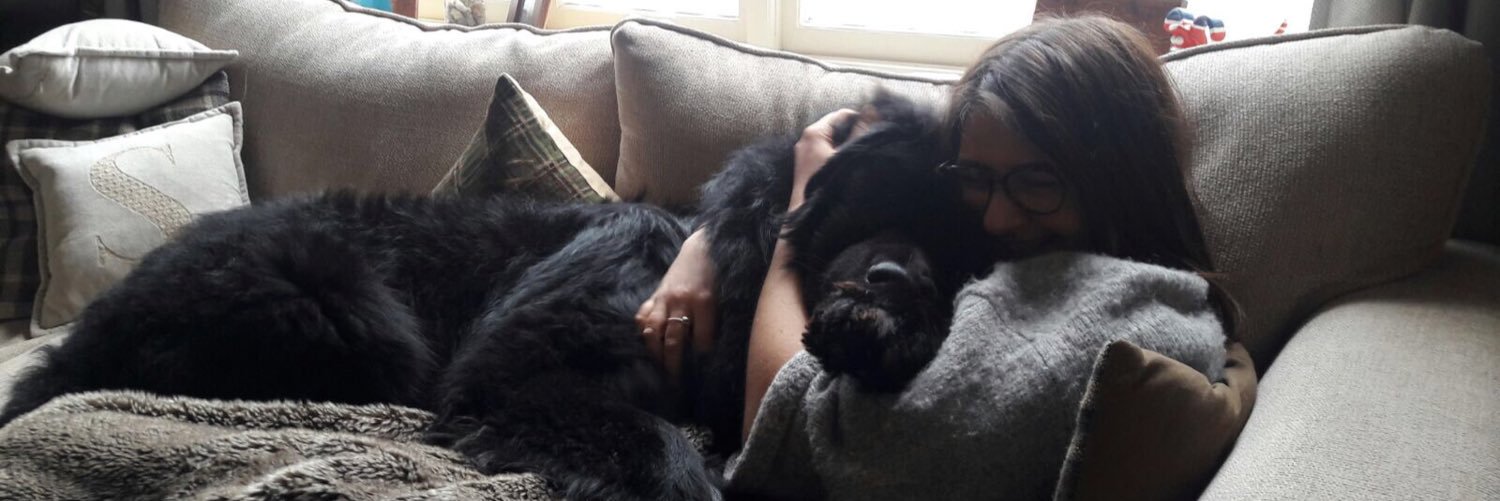 sabrinazizzle's profile banner image