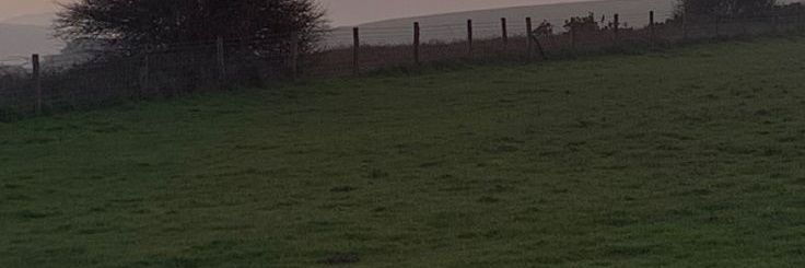 𝙼𝟸 banner