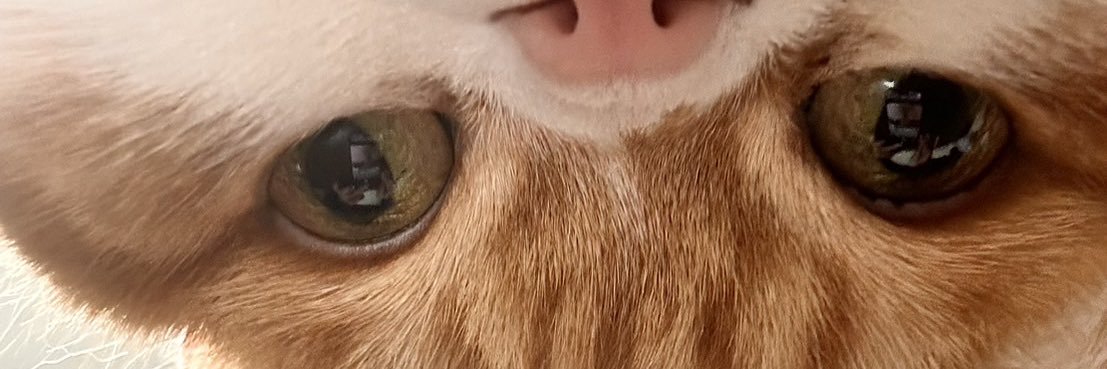 ren_bbzx's profile banner image