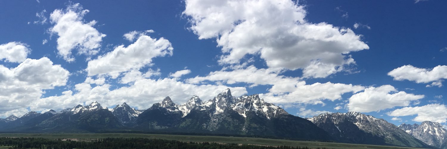 Melissa Miner banner