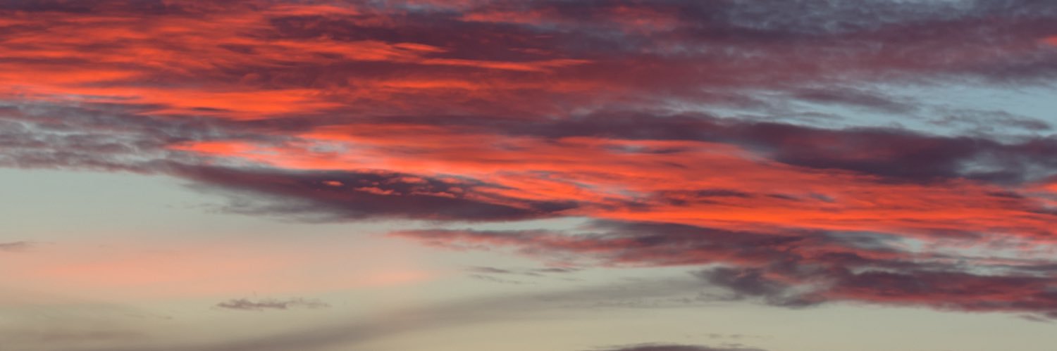 TheRealTP's profile banner image