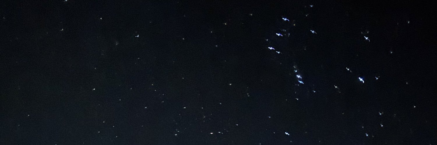 Ybluei's profile banner image