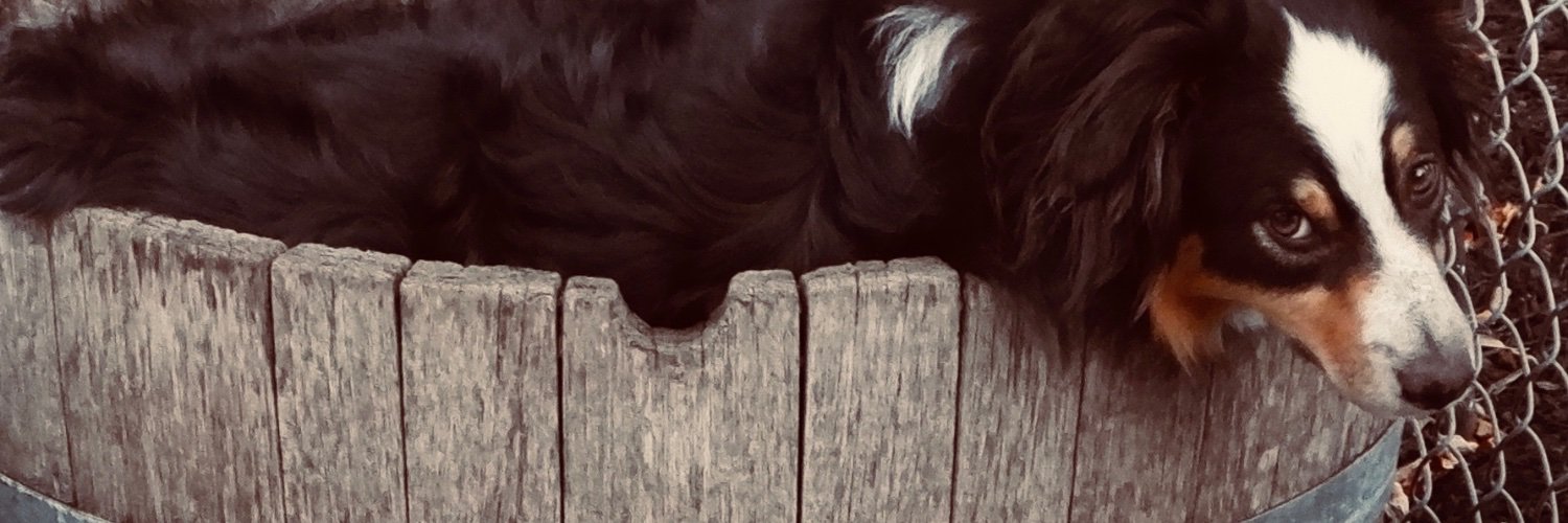 YouAreADog's profile banner image