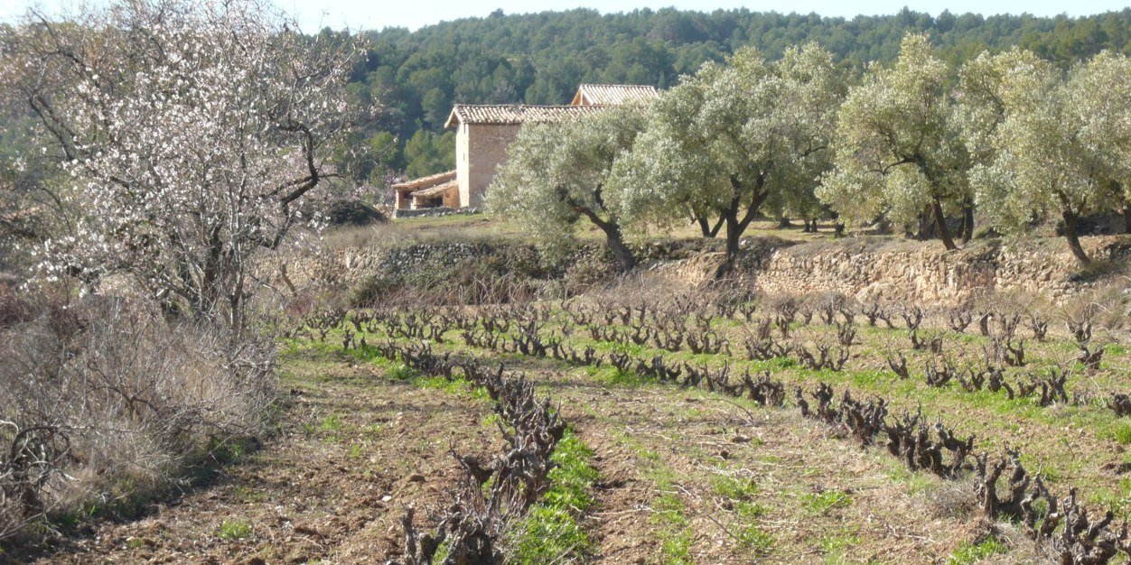 Deméter de Tastavins banner