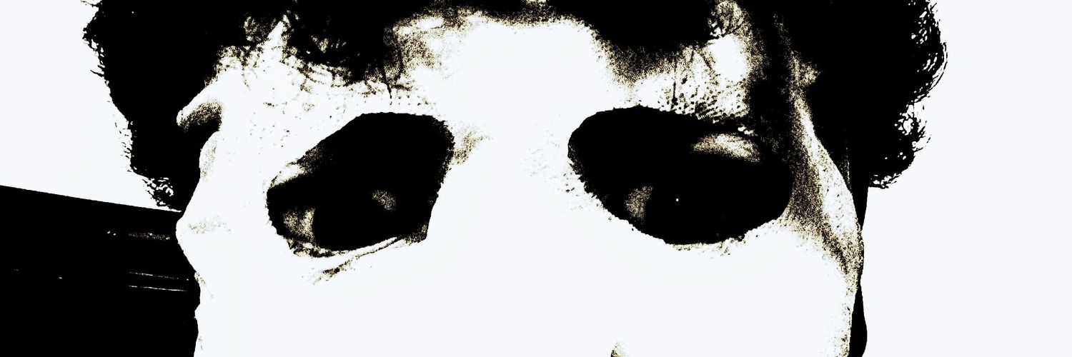 SMahuida19098's profile banner image
