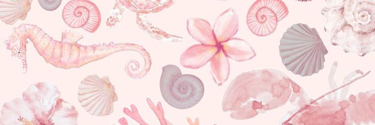 aakkira 🪷🩰💭🫧 banner