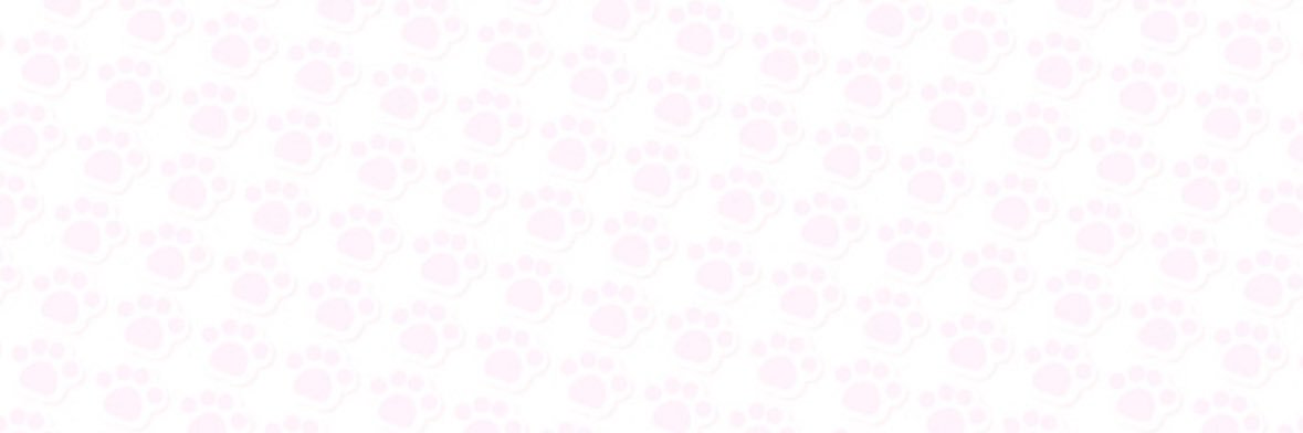 🫧 banner