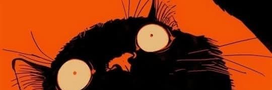 CarFlask's profile banner image