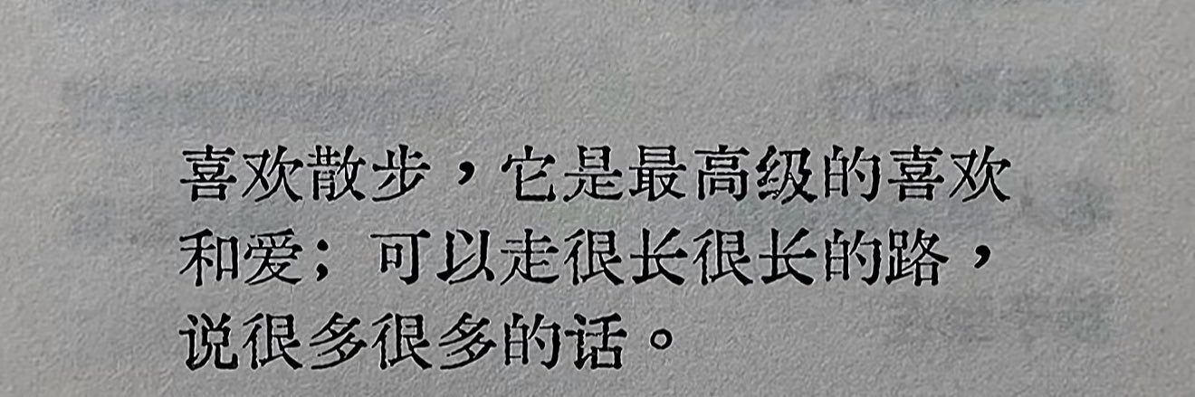 K1ttiMiao's profile banner image